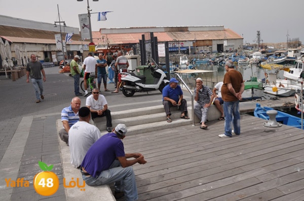 mina2yaffan51i (1).JPG